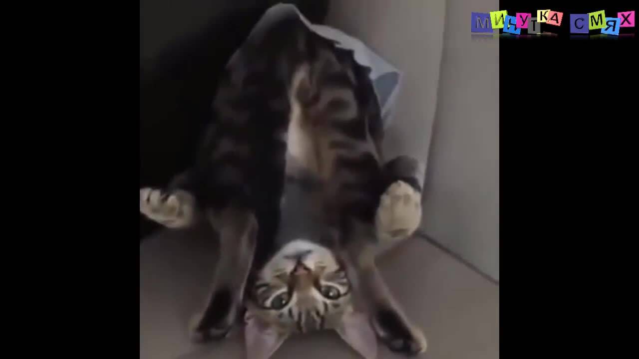 Ненормални кретени ! - Минутка смях