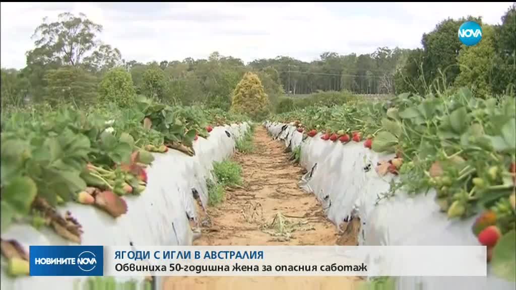 50-годишна австралийка поставила игли в ягоди в супермакрети