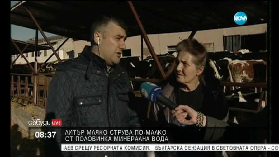 Млякото вече е по-евтино от минералната вода