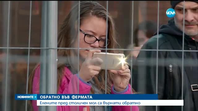 Махнаха елените в клетка пред столичен мол