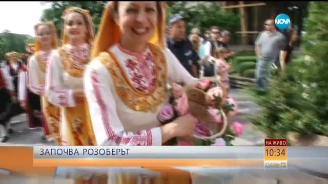Започва розоберът в Казанлък