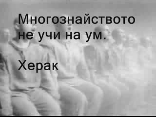 Wag The Dog - Да Разлаем Кучетата