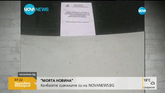 „Моята новина”: Прасе на път към Европа
