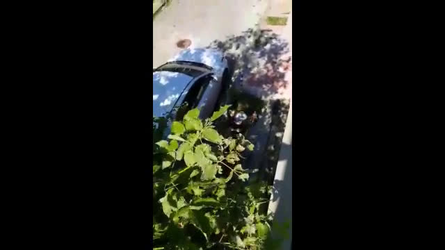 "Моята новина": Чистотата в кв. "Лозенец"