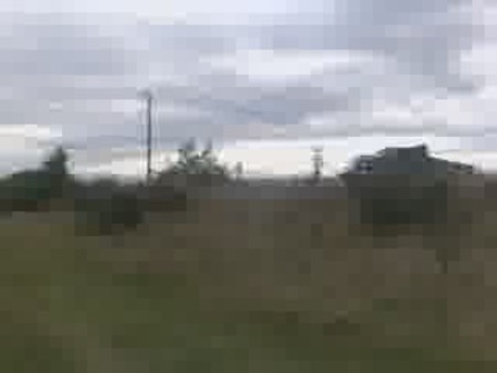 В Гората За Дърва3.3gp