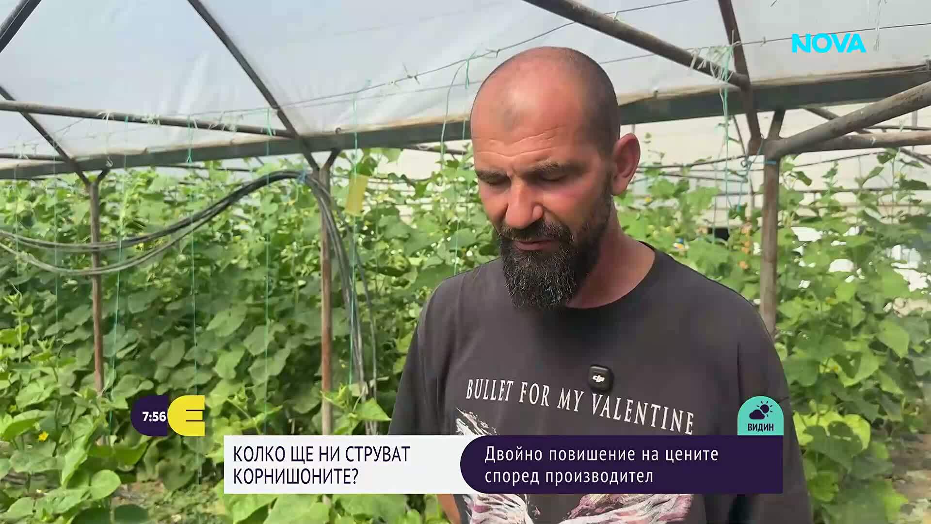 Защо цената на корнишоните е еднаква и в евро, и в лева