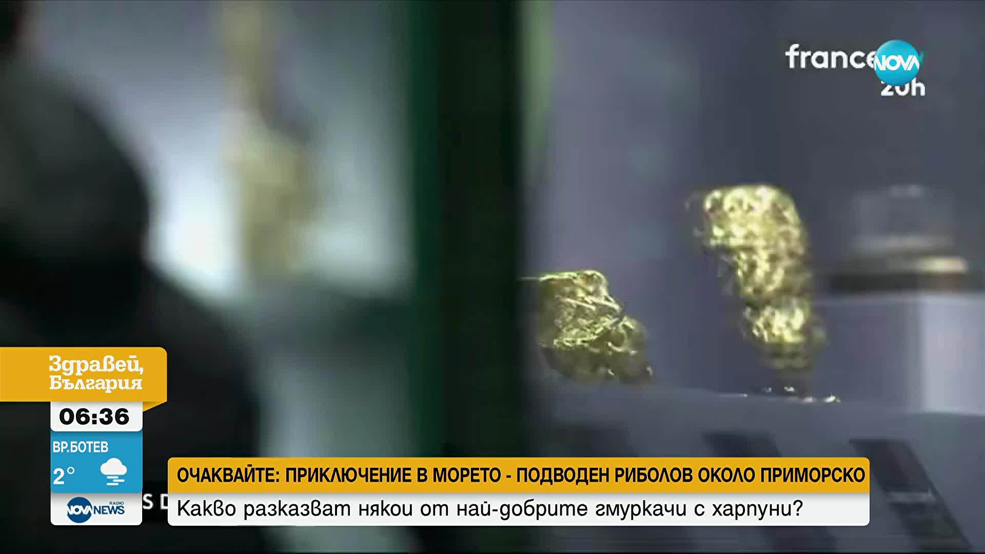 След Лувъра: И природонаучният музей в Лондон е бил обран