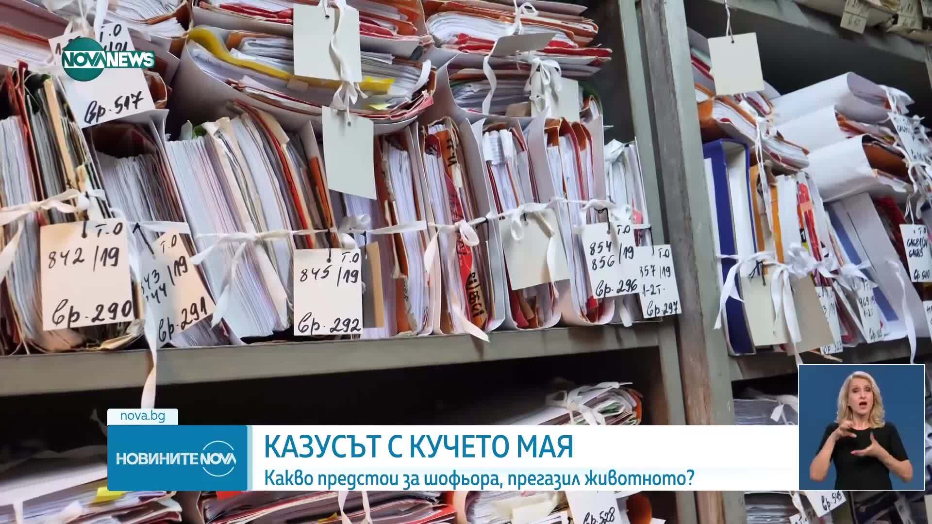 ВМА отстранява от работа лекаря, прегазил куче в София