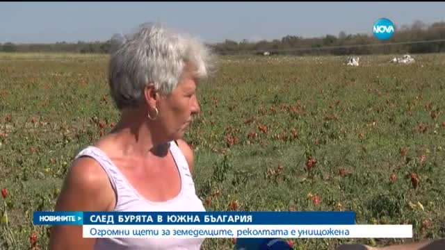 Буря остави без поминък земеделци в Южна България