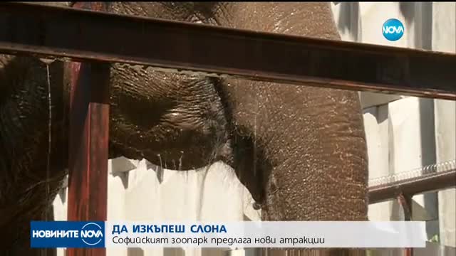 Нова атракция в зоопарка в София