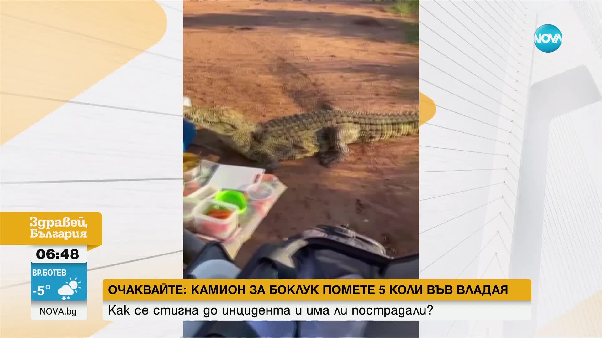 Крокодил открадна хладилна чанта от туристи