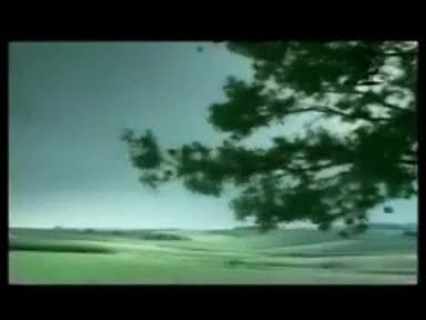 Не на войната по пътищата !
