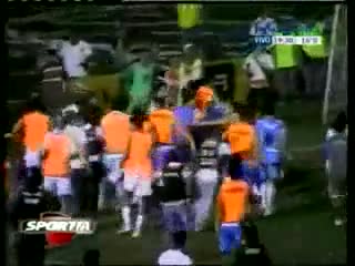 Бой на терена (тоя владее кунг - фу)