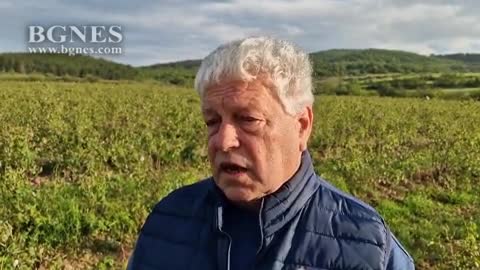 Земеделци от Сливенско искат допълнителна защита от градушки