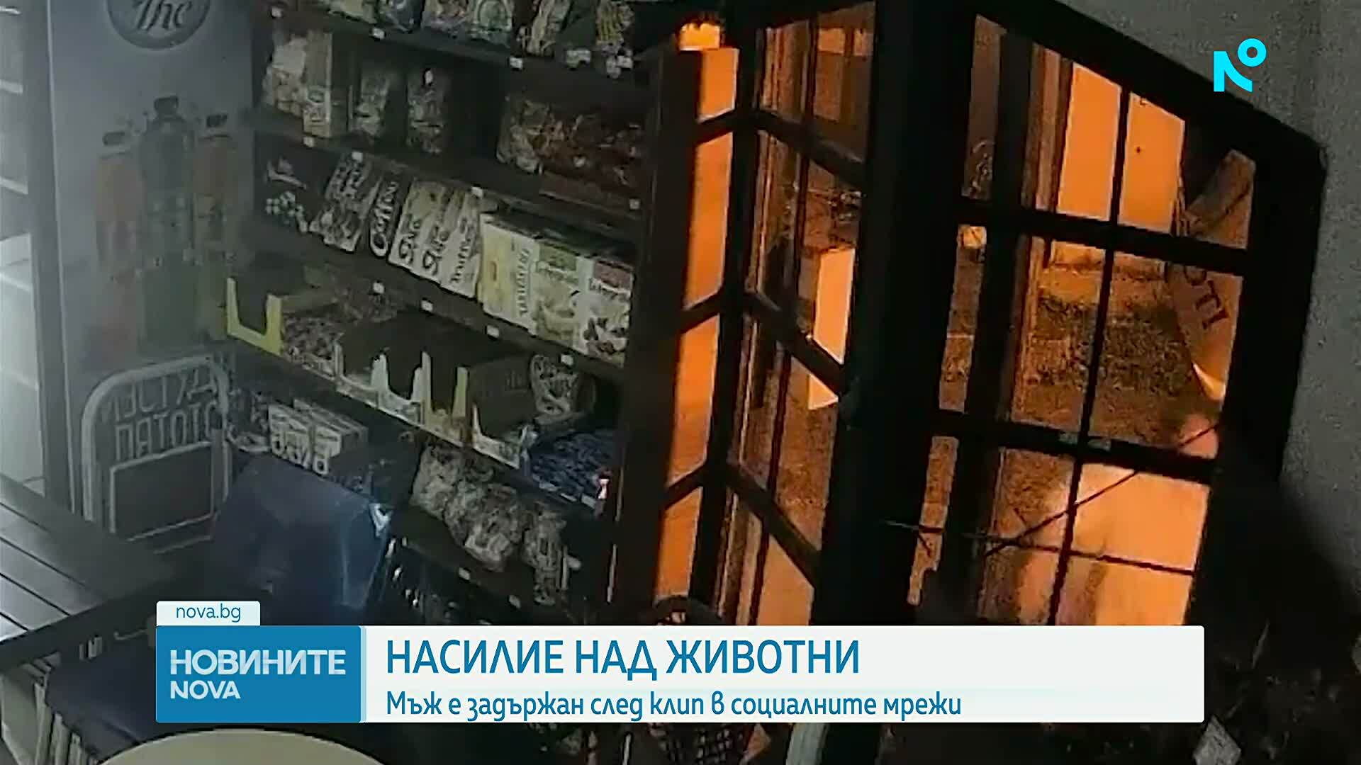 Задържаха мъж заради проверка за изтезаване на животни във Варна