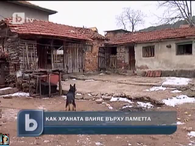 Как храната влияе върху паметта