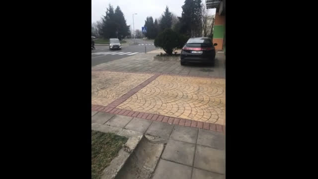 "Моята новина": Паркиране