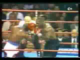 Tyson Vs. Holyfield - Fight Or Flight