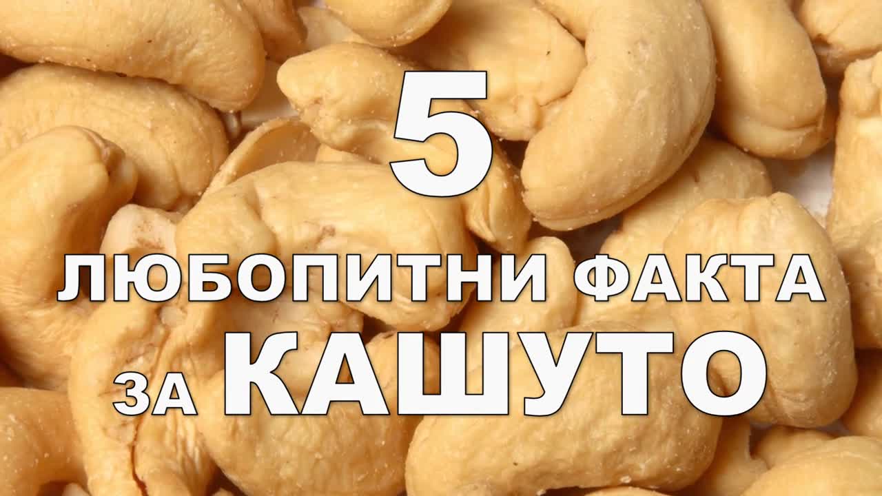5 любопитни факта за кашуто