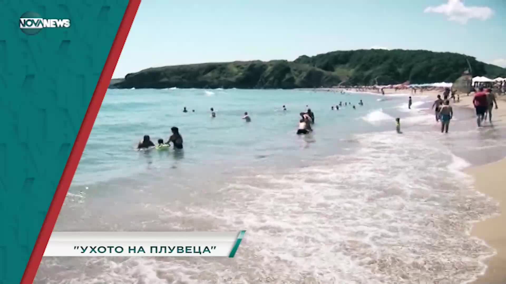 В "Социална мрежа" с водещ Милена Янинска днес от 15:20 ч. очаквайте: