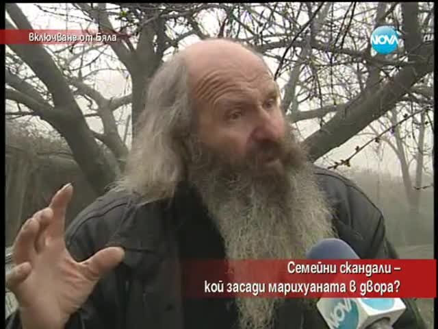 Семейни скандали - кой засади марихуаната в двора - Часът на Милен Цветков