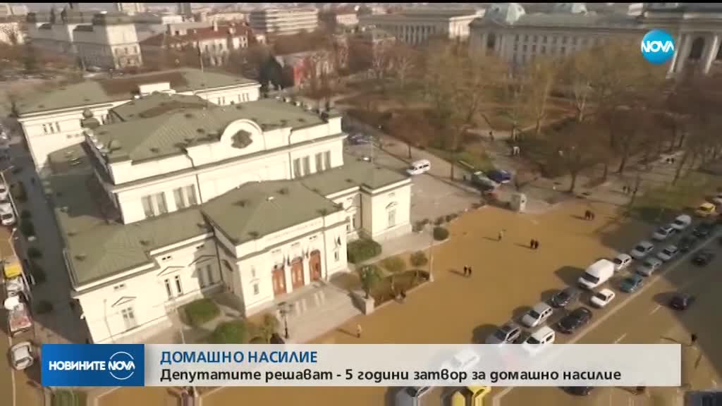 Депутатите гласуват законопроекта за домашното насилие