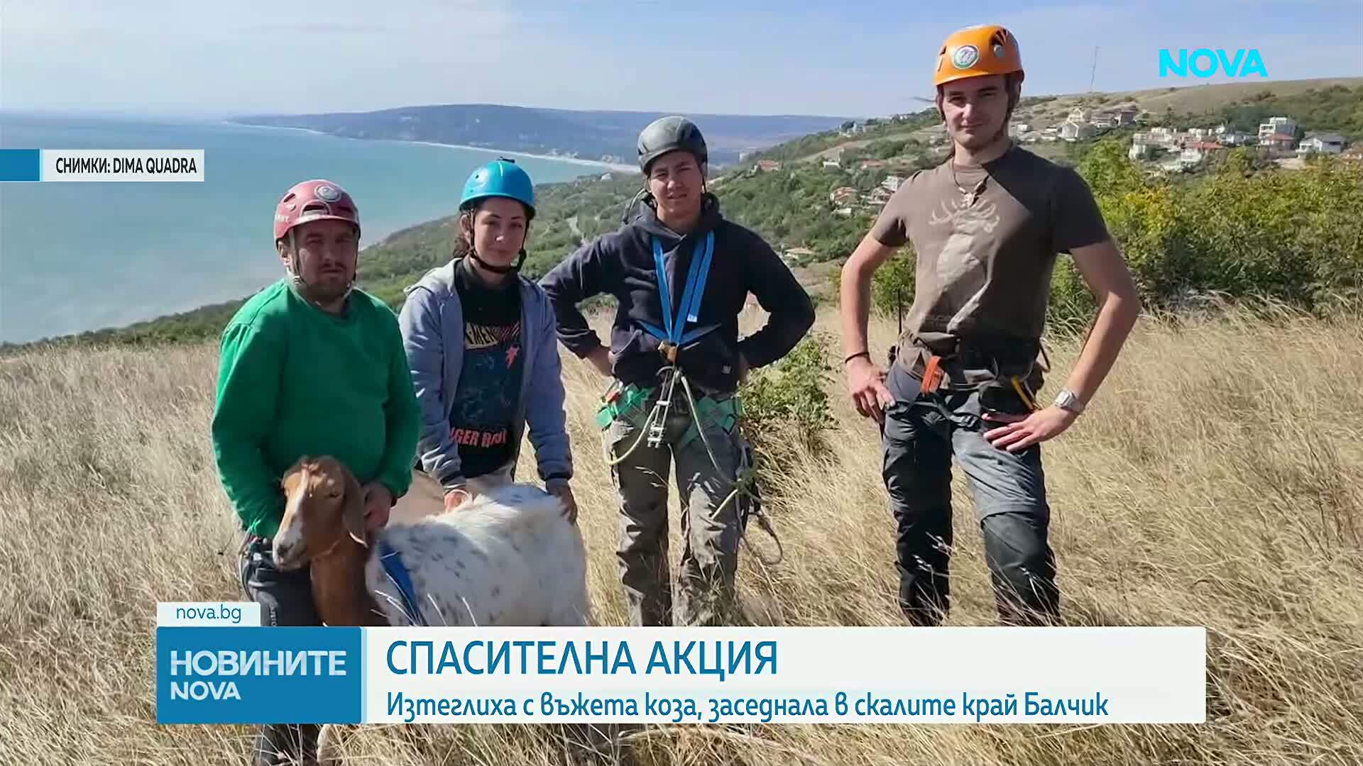 Спасиха коза от скалите край Балчик