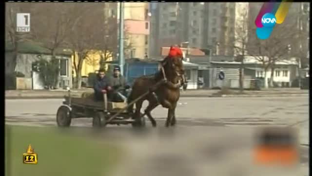 Как един обикновен кон става шампион - Господари на ефира (13.04.2015г.)