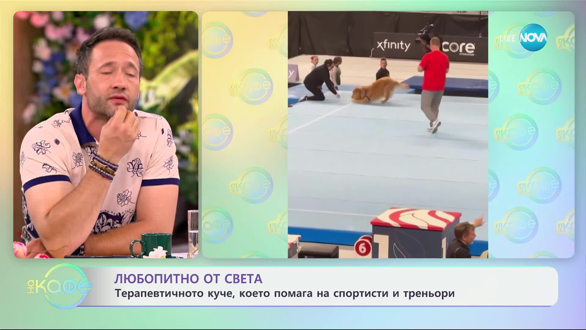 Куче терапевт помага на спортисти и треньори да преборят стреса