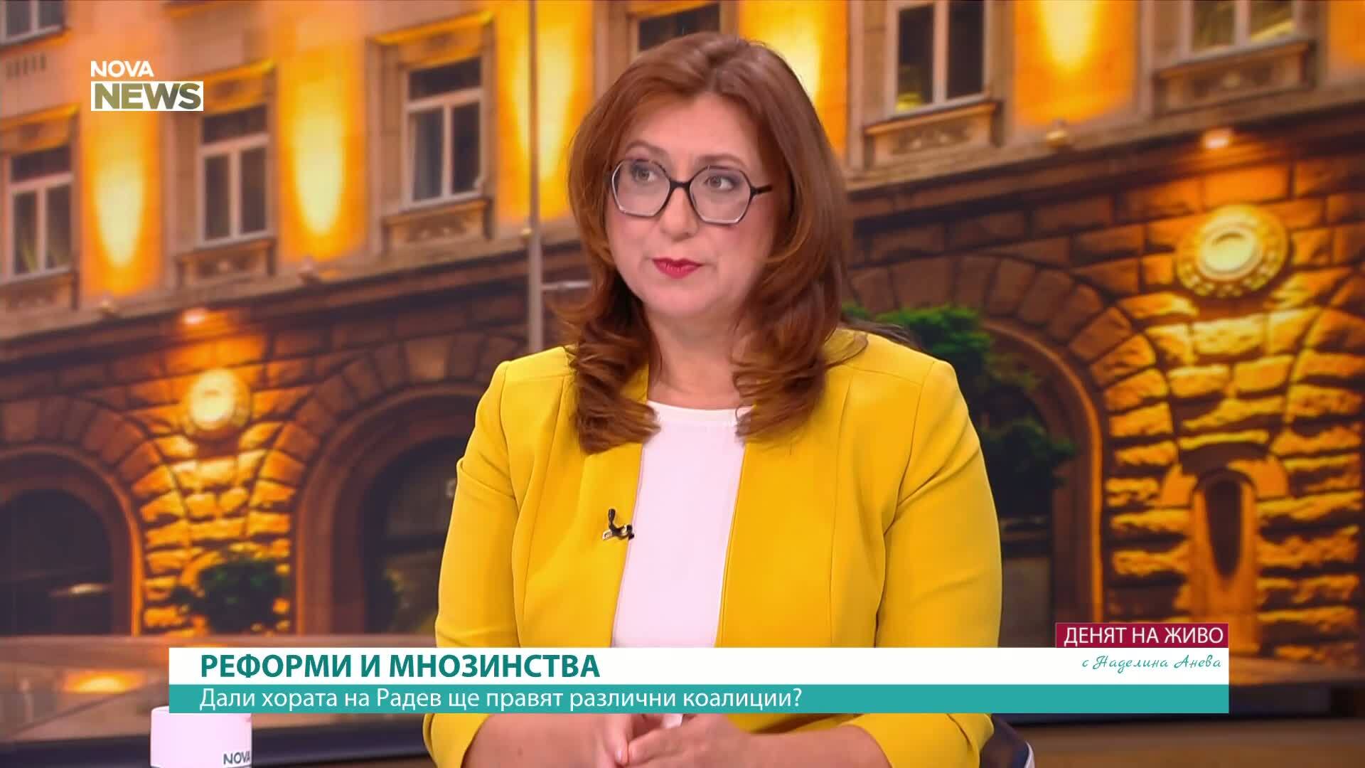 Проверката за полетите на Делян Пеевски трябва да изясни произхода на средствата, смята политолог