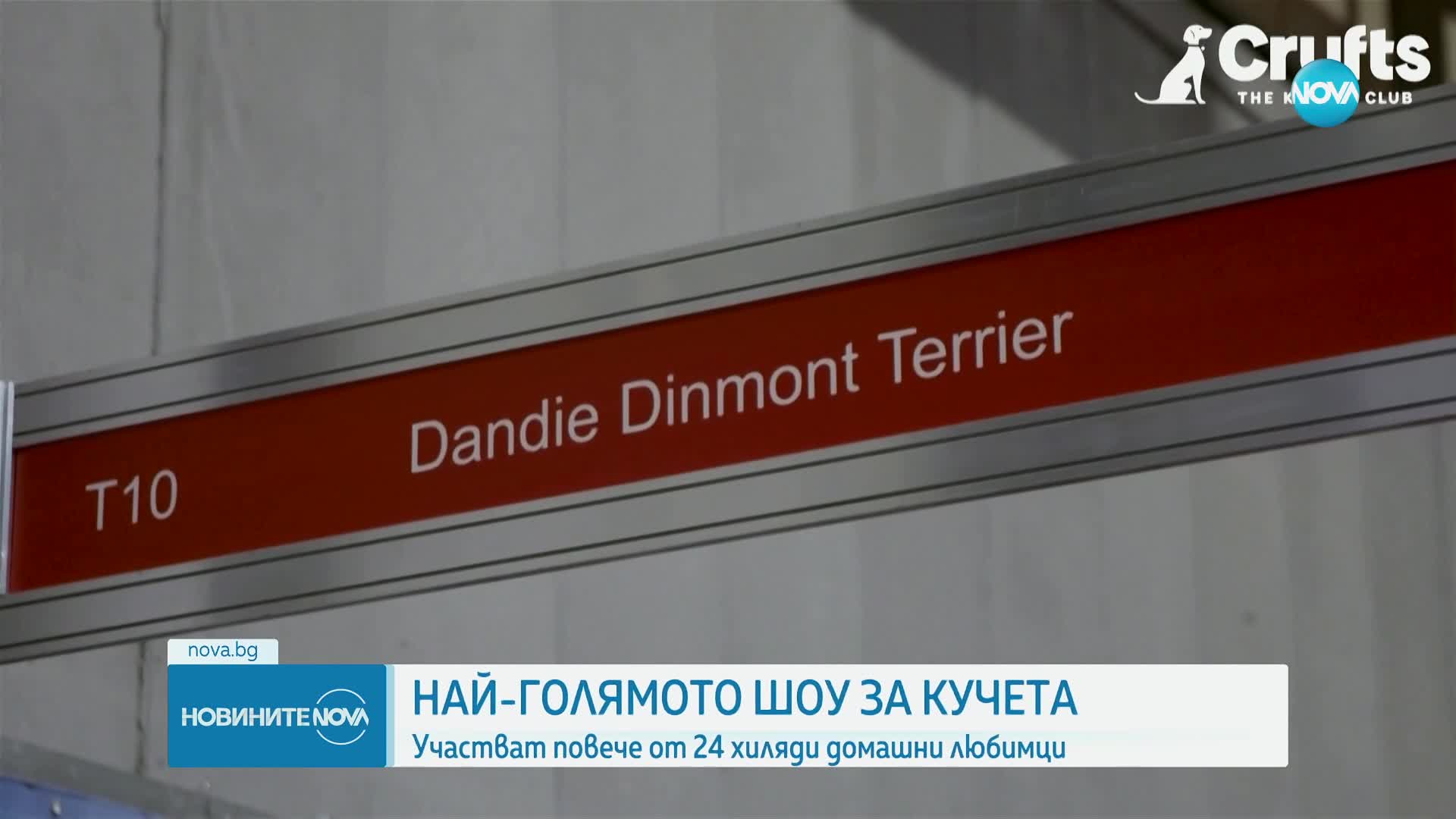 Най-голямото шоу за кучета