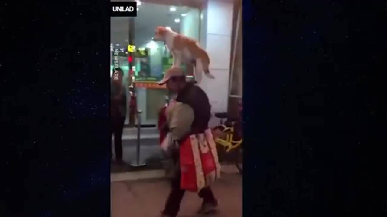 Маниашки смешки - Много смях