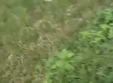 Като изпреварва на завой е така 