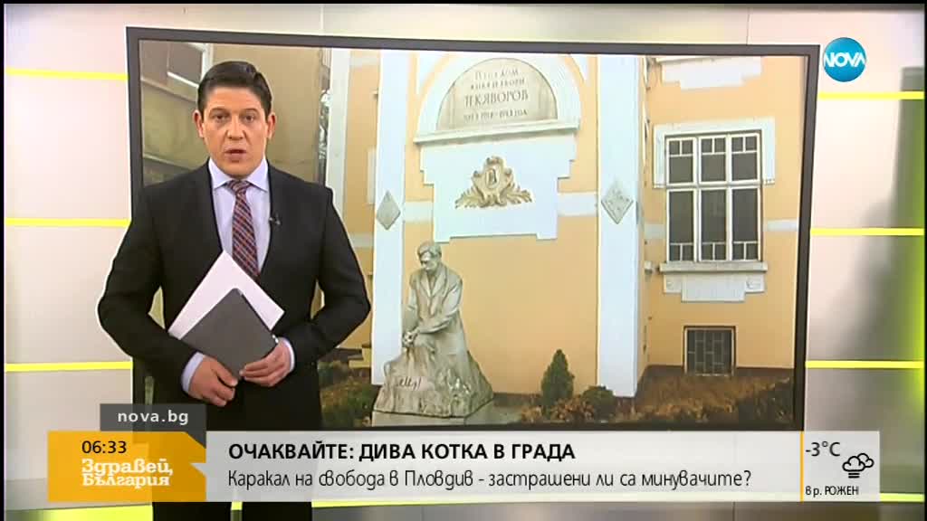 Новините на NOVA (22.01.2019 - 6.30 ч.)