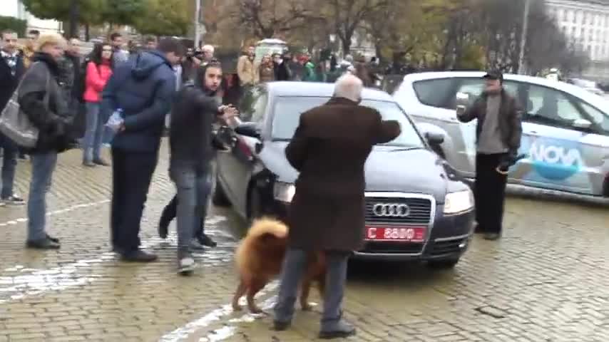 Студентите в ролята на примерни пешеходци изнервиха полицията