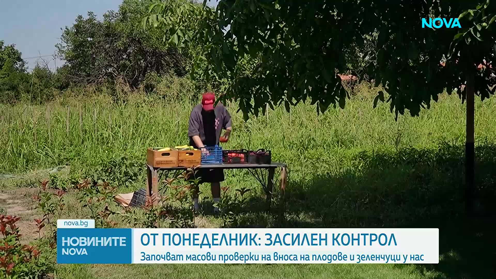 Започват масови проверки за вноса на плодове и зеленчуци по границите с Турция и Северна Македония