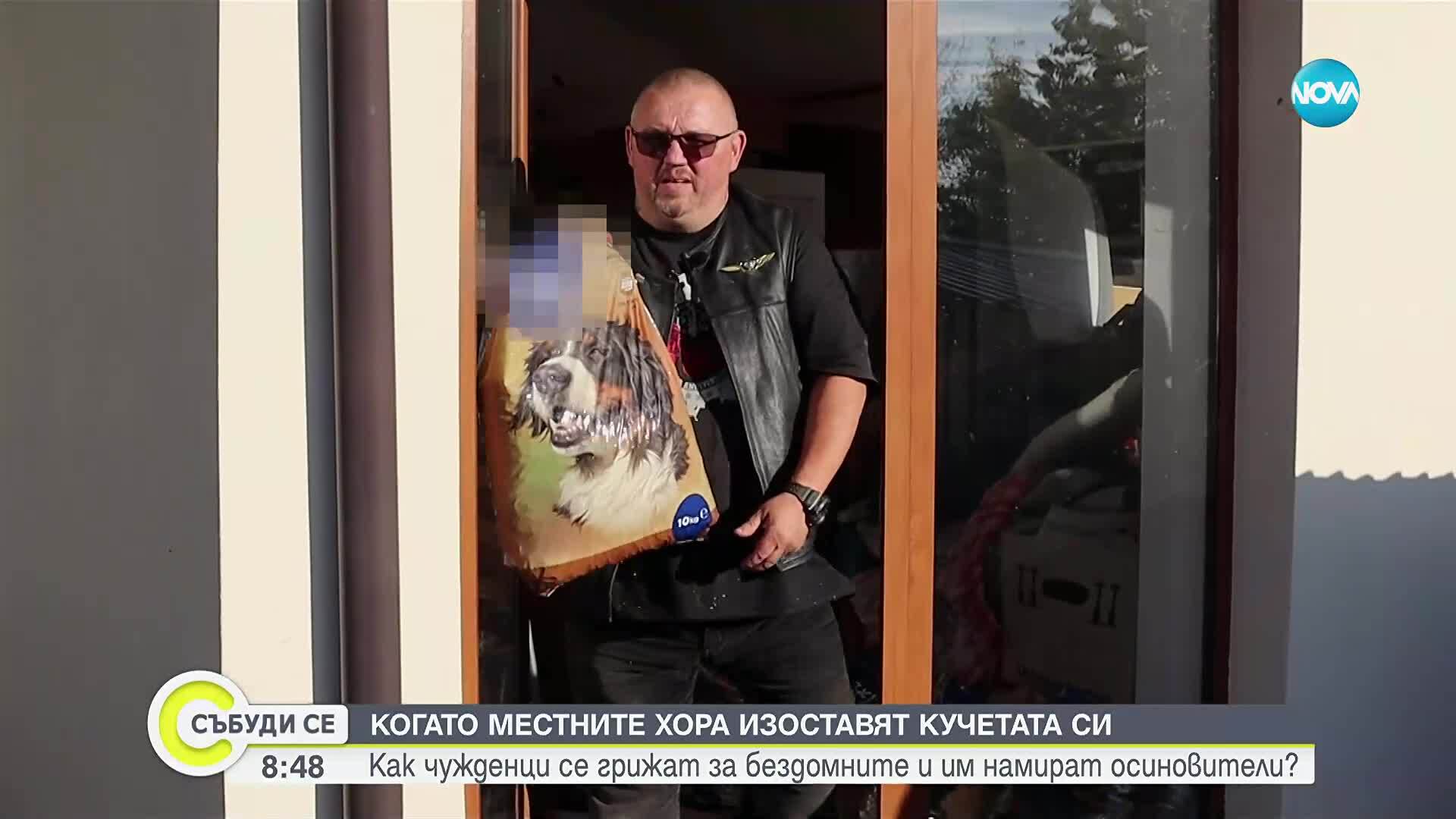 „Трябва да се преосмисли отношението към животните”: Чужденци разказват за системно насилие над кучета в Добричко