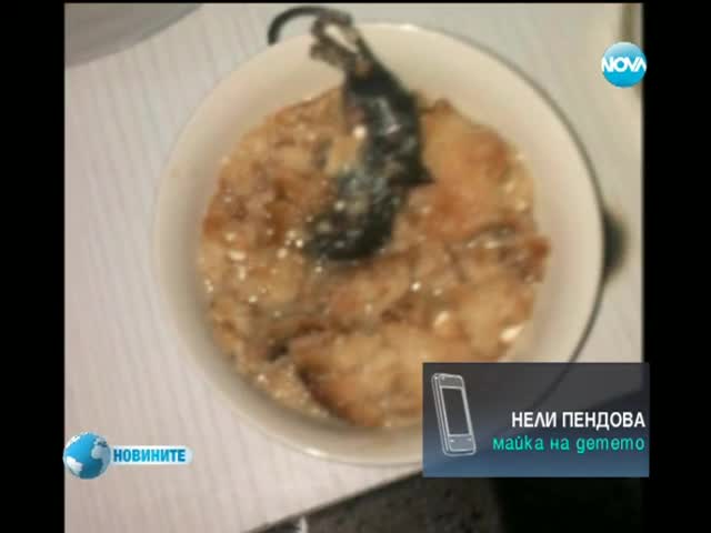 Сервираха умряла мишка в закуската на дете