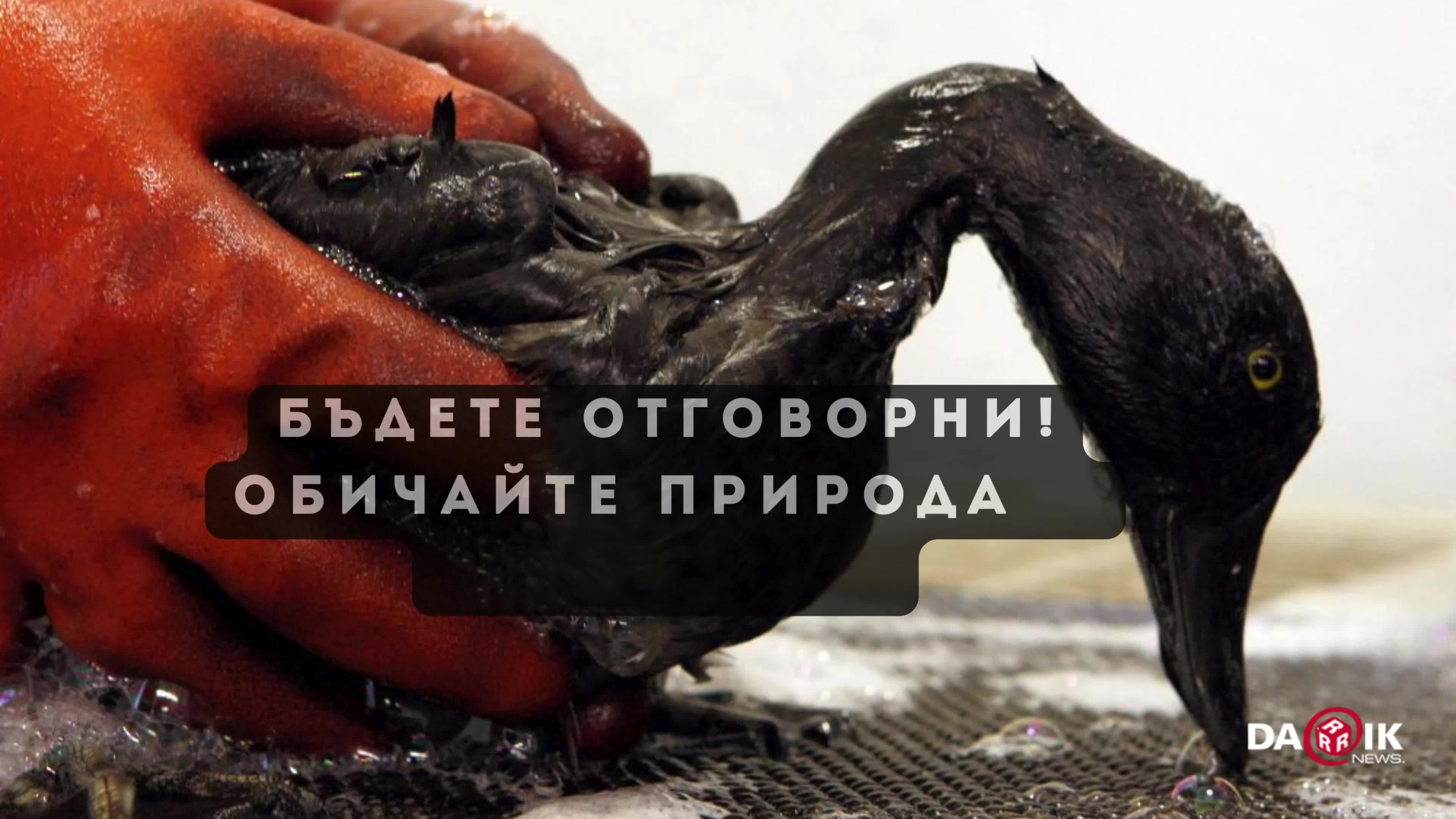 Денят на Земята
