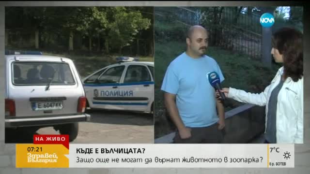 Нови капани с храна ще примамват избягалата вълчица
