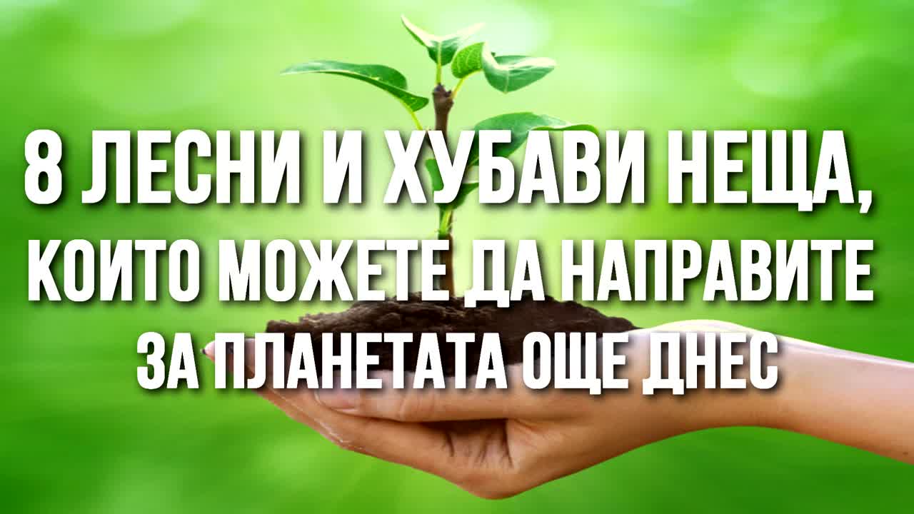 8 лесни и хубави неща, които можете да направите за планетата още днес
