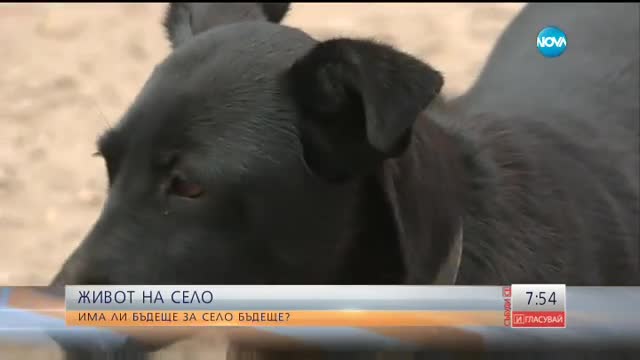 Има ли бъдеще за село Бъдеще?