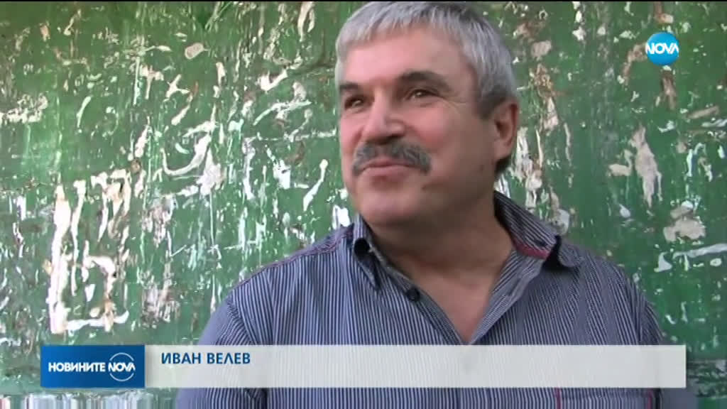 Фестивал на кестена в село Брежани