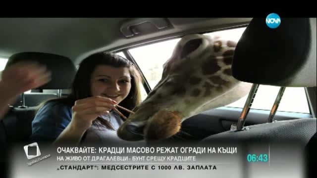 Селфи в зоопарк