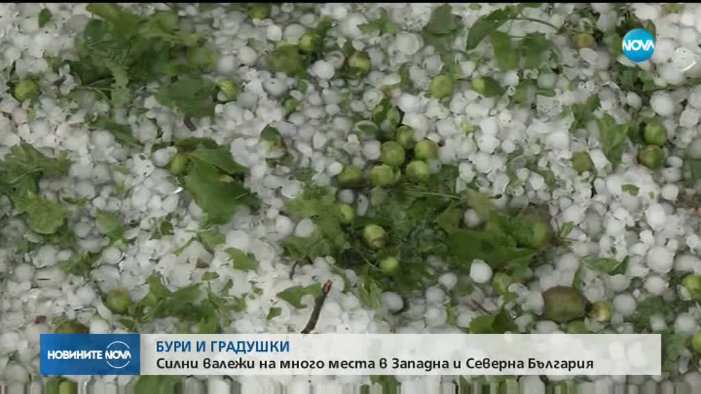 Новините на NOVA (06.05.2019 - централна емисия)
