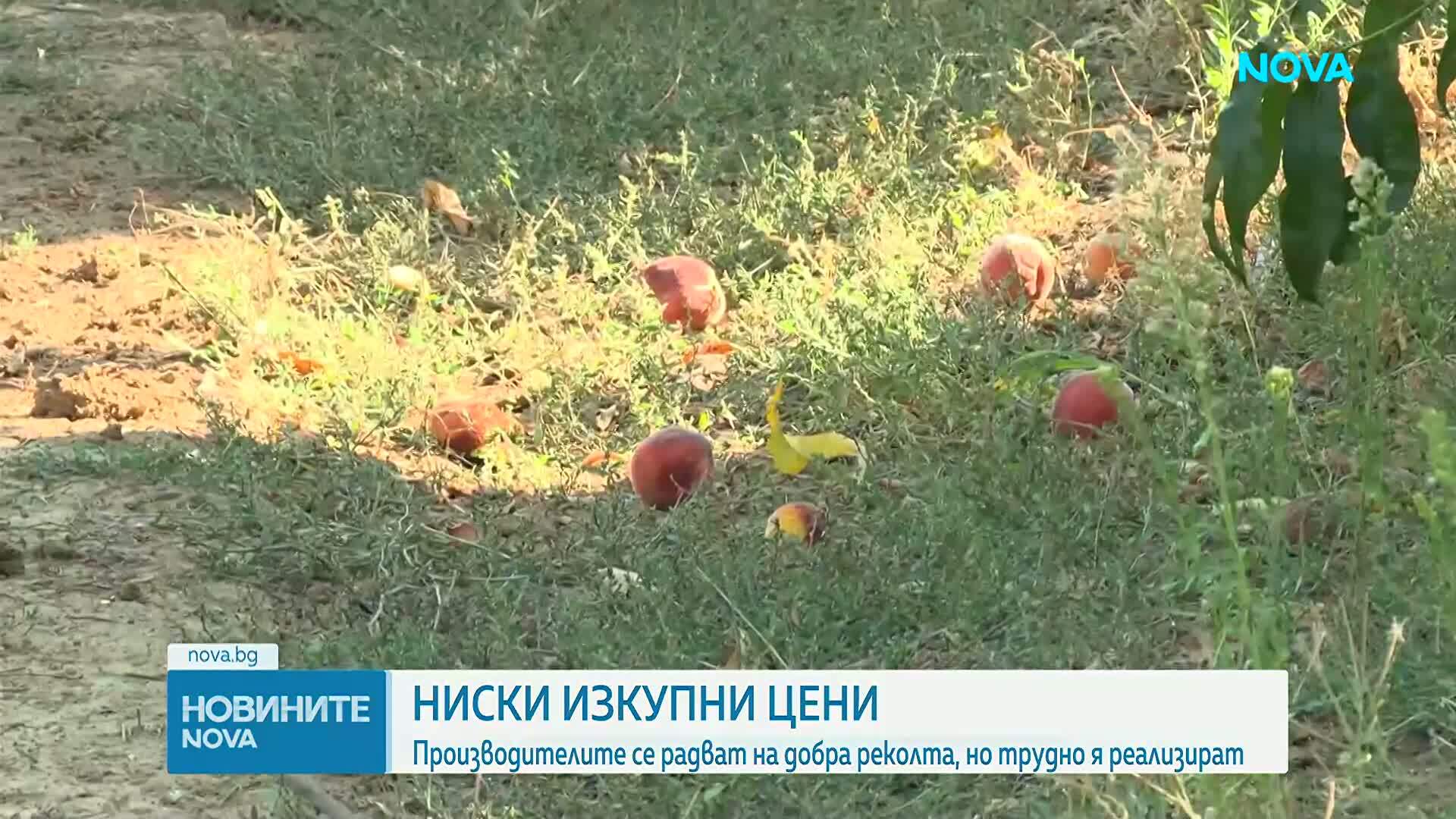 Новините на NOVA | Обедна емисия | 30 авг. 2026