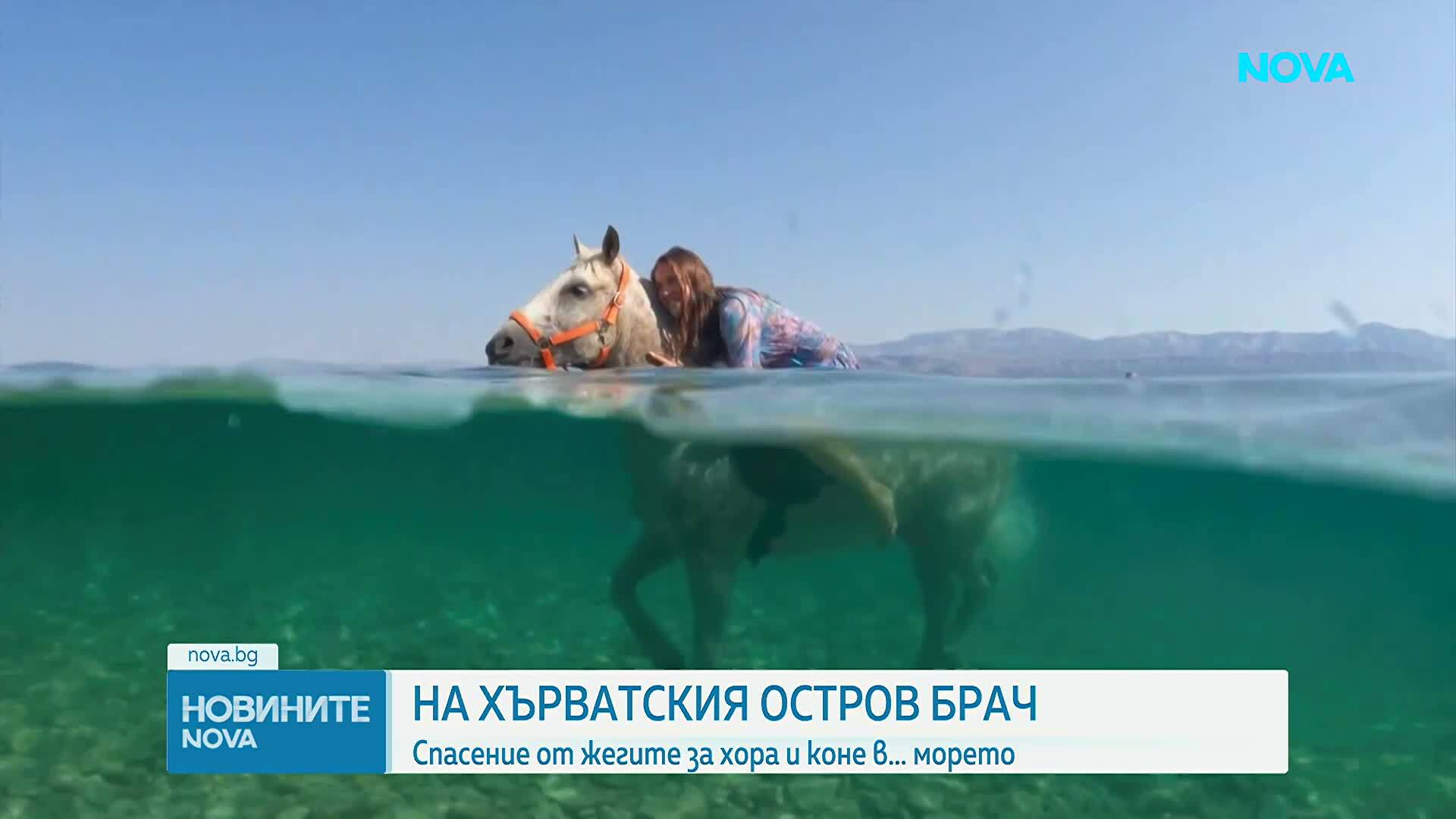 Хърватски остров предлага езда в морето срещу горещините
