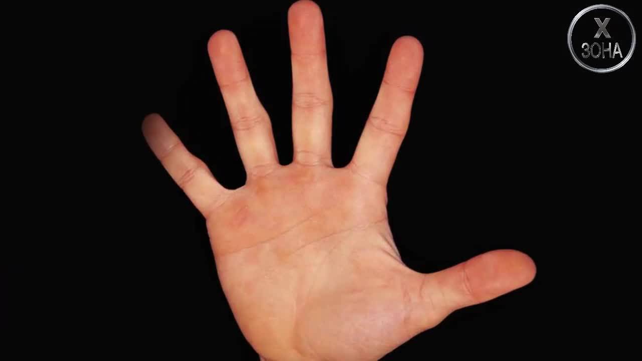 Какво разкриват за човека трите основни линии на ръкато му?