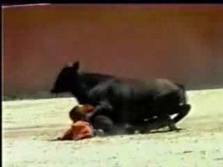 Случайно заснета случка с бик