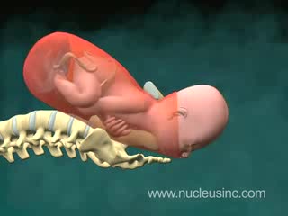 Раждане на човек - 3d Анимация
